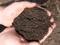 土壤污染检测_土壤检测_土壤肥力检测
