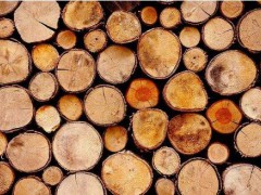 木材检测鉴定中心_木材检测机构