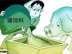 深圳哪里有猪饲料检测，深圳猪饲料检测机构