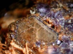 XB/T 102-2007 氟碳铈矿-独居石混合精矿 检测标准