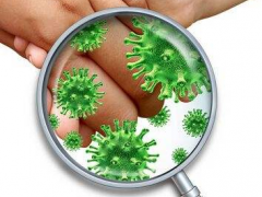 沙门氏菌检测方法-免疫学检测方法