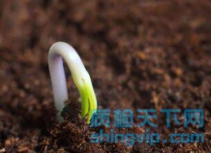 济南土壤检测中心,济南土壤有害物质检测单位