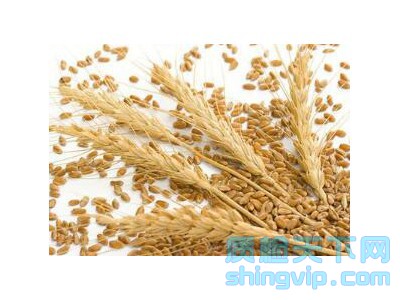 济南小麦质量检验单位，济南小麦检测一次多少钱