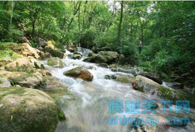 重庆井水水质检测 山泉水检测 农村井水检测中心