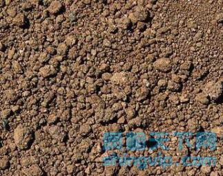 武汉土壤检测报告到哪里办理，武汉土壤有机物检测机构
