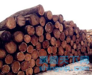武汉红木检测需要多少钱，武汉木材检测机构
