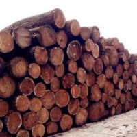 武汉红木检测需要多少钱，武汉木材检测机构