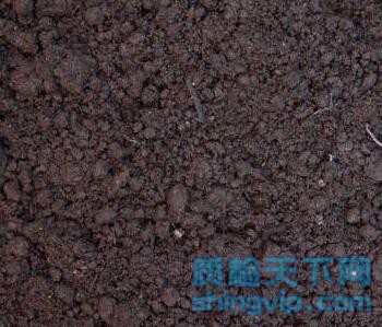 杭州有机土壤检测中心，杭州检测土壤有效锌/氮含量机构