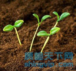 郑州种植土种植检测，郑州有机土壤化验机构