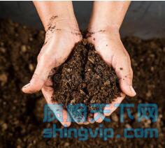 青岛市有机土壤测试中心，青岛哪里可以检测土壤有机物
