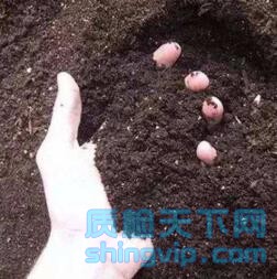 宁波市土壤有效态检测机构，宁波市有机土壤检测中心