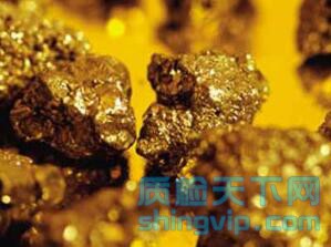 宁波市金矿石检测机构，宁波市金矿石含金量测试中心