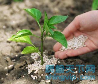 佛山市化肥,肥料,复合肥检测到哪里，氮肥检测机构