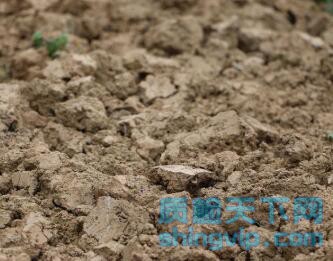 苏州土壤检测多少钱，土壤成分分析检测