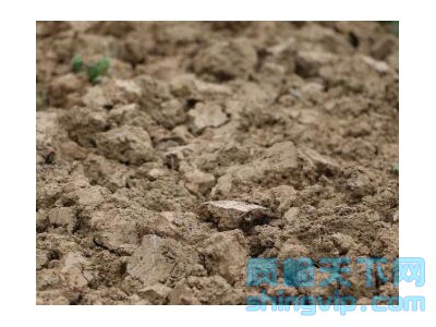 苏州土壤检测多少钱，土壤成分分析检测