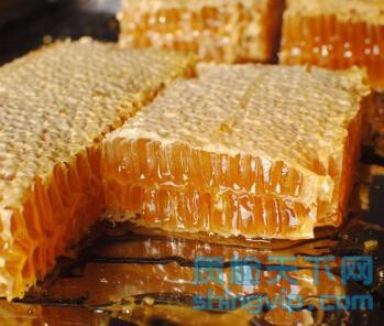 郑州蜂蜜电商销售检测报告多少钱，蜂蜜农残常规检测