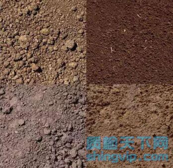 珠海市土壤成分分析，土壤重金属检测机构