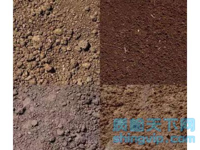 珠海市土壤成分分析，土壤重金属检测机构