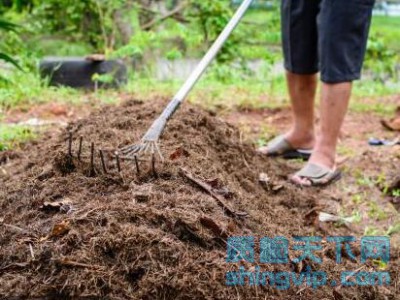 珠海市有机土壤检测中心，珠海市有机肥化验机构