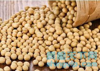 青岛市大豆粗蛋白质含量检测中心，大豆有害物质检测分析
