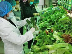 甘肃省金塔县食品药品检验检测中心在行动