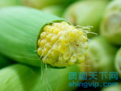 广州玉米,土豆,番茄,大蒜第三方检测单位
