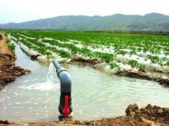农业用水检测,农业灌溉水检测