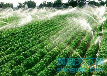 农业灌溉水检测