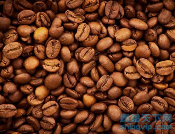 咖啡豆检测