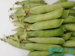 广东青豌豆罐头检测部门_机构_单位_中心