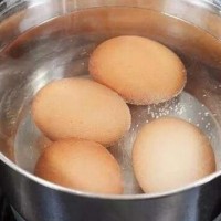 鸡蛋检测