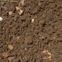 成都土壤有机质检测机构，成都土壤检测分析单位