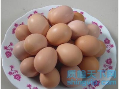宁波鸡蛋检测报告到哪里做，宁波鲜蛋抗生素可以检测吗