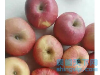 扬州_宿迁_常州_泰州苹果检测单位，苹果检测报告办理